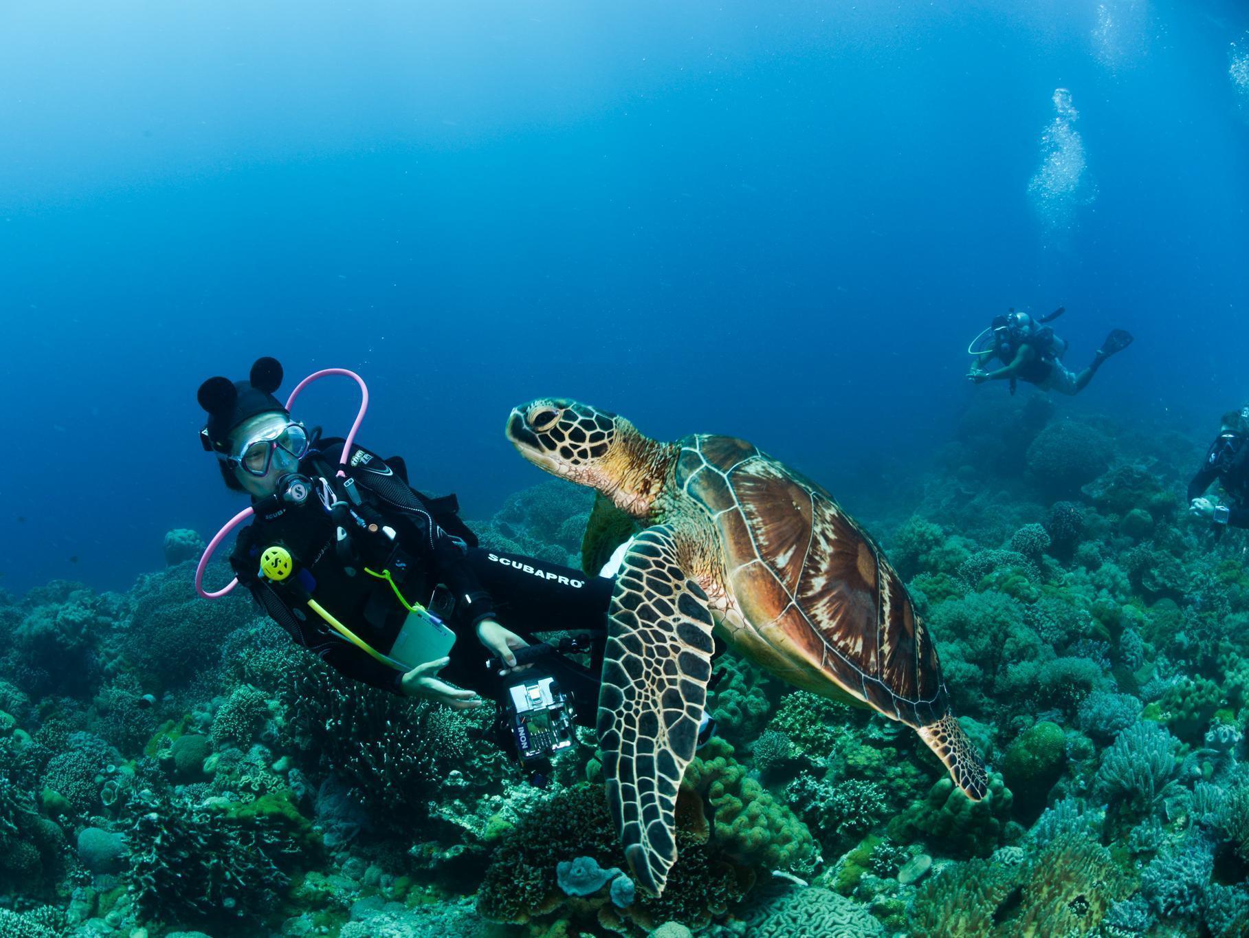 Bed and Breakfast Acqua Dive Zamboanguita  Esterno foto